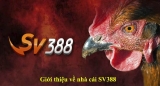 SV388 – Hướng Dẫn Cách Đăng Ký SV388 Nhanh Chóng, Đơn Giản Cho Game Thủ