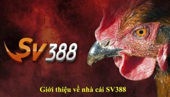 SV388 – Hướng Dẫn Cách Đăng Ký SV388 Nhanh Chóng, Đơn Giản Cho Game Thủ